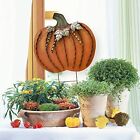 Pumpkin Garden Stake Metal Pumpkin Yard Sign Fall Decor  Decorative Pumpkin Yard