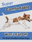Disposable Male Dog Diapers - 48 Pack  Super Absorbent Male Dog Wraps For Sma   