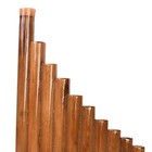 25 Pipe Musical Traditional Panpipe Musicales Storage Instrument Traditional