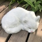 Lifelike White Sleeping Cat Figurine - Realistic Curled Up Faux Fur Kitten St   