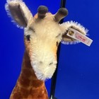 19  Steiff Smithsonian Giraffe  666209 Limited Edition Read   