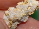 Gold Quartz Specimen 4 6 Grams Natural California Gold In Quartz Micromount