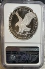 2022 S Proof Silver Eagle Ngc Pf70 First Releases Limited Edition Set