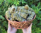 Juniper Smudge Stick 3  - 4   herb House Cleansing Negativity Removal  
