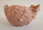 Vintage Nelson Mccoy 1940 s Pink Conch Sea Shell Planter Fully Marked Nm Usa 