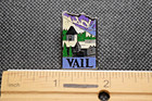 Vail Ski Resort Area Colorado Ski Pin