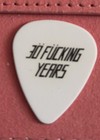 Motley Crue Mick Mars Vintage Guitar Pick - 2011 30th Anniv Tour
