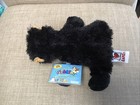 Nos Ganz Webkinz Lil Kinz Black Bear Original Code Tag Hs004
