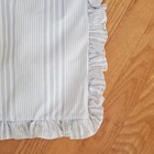 Ralph Lauren Islabella Euro Sham Blue   White Ruffled Throw Woven Striped