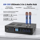 Inandon Am-300 700w Pro Karaoke Mixer Amplifier Bluetooth W  2 Mics   Remote