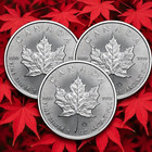 Lot Of 3 - 2022 Canadian Maple Leaf Commemorative  0 999999 Purity    