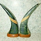 Carved Water Buffalo Horns With Oriental Dragons On Wood Vintage Pair 14  Long