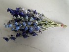 Blue Delphinium Bunch Bouquet Bundle Dried Flowers Usa Assorted Blue Hues Auc 2