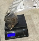 300 Sacagawea presidential Dollars Unsearched Fort Knox 5 3lb Sealed Deposit Bag