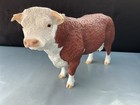 North Light     Hereford Bull
