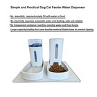 Automatic Dog Feeder And Cat Water Dispenser Set Dog Cat Bowl 2-pack With Mat