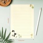 36 Pcs Writing Paper And Envelopes Set  Warm Cute Cat Themed Stationary Set Desi