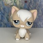     authentic Littlest Pet Shop Lps Longhair Cat  1047 Beige Cream White Blue    