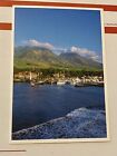 New Lahaina Town Harbor Maui Hawaii Photo Postcard Pioneer Inn Hotel Banyan Boat