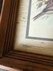 Paul Whitney Hunter - Vintage Birds Art Print Wood Frame Pencil Signed 13 X 16