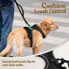Dog Leash - No Pull System Of Colors And All Sizes