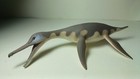 2019 New Collecta Dinosaur Toy   Figure  Dolichorhynchops