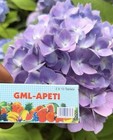Gml Weight Gain Apeti Tablets