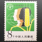 J80                                                                                   
