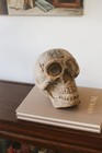 18th Century Rare Antique Hand Carved Wooden Skull Life Size  see Details 