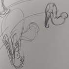 Weekend Pussy Hunt Original Animation Storyboard Art By Jim Smith Spumco - Coa