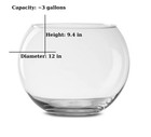 3 Gallon 12  Clear Glass Bubble Bowl Vase Centerpiece Flowers Betta Fish Decor