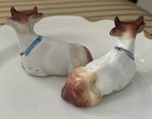 19thc Antique Staffordshire Pair Of  Ayershire Porcelain Cows Rare 