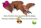 10 Pcs Large Indian Catappa Almond Leaves 8   For Betta  Shrimp  Axolotls   More