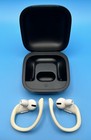 Beats By Dr  Dre Powerbeats Pro Wireless Earbuds In Charging Case  ivory A2078 