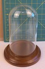 7   x4    Glass Dome Bell Jar cloche Specimen Display Case Wood Base Clear Euc 