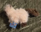 New Webkinz Himalayan Cat Plush Hm165 Stuffed Animal W sealed Code