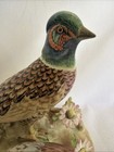 Crown Staffordshire J t  Jones Des  Bone China   Signed W r  Tipton Pheasants