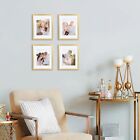 11x14 Picture Frame Gold Poster Frame Matted Photo Frame Display Wall Mounting