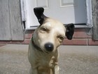 Rca Victor Phonograph Victrola  radio  nipper  Dog  14 1 2  Tall - Super Details