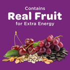Kaytee Nut   Fruit Blend Wild Bird Food Premium Bird Seed 5 Lb Bag New