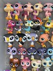 Littlest Pet Shop Birds  you Pick  Owls  Penguin  Ostrich  Peacock  Pidgeon  Lps