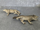 Schleich Wolves X 2 Figures In Used Condition