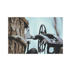 Latitude Bite Bow Hanger