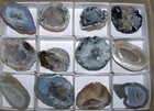 12 Oco Agate Geode Polished Half s M8956