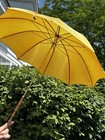 Umbrella 36 In Yellow Wooden Shaft Lucite Handle Works Cover Vtg Antique Read