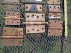 Antique Vintage Door Hinges Lot Stanley Sw