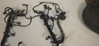 2001 Ford F150 Wiring Harness For Engine Oem 5 4l