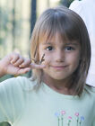 Butterfly Larvae Caterpillar Refil Kit  painted Lady Butterflies  Free Shipping 