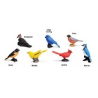 Backyard Birds Toob Mini Figures Safari Ltd 678304