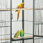 53  Bird Cage Play Top Bird Parrot Finch Cage Macaw Cockatoo Pet Cage Metal Fram
